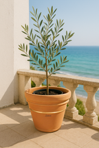 l'origine - founders first collection