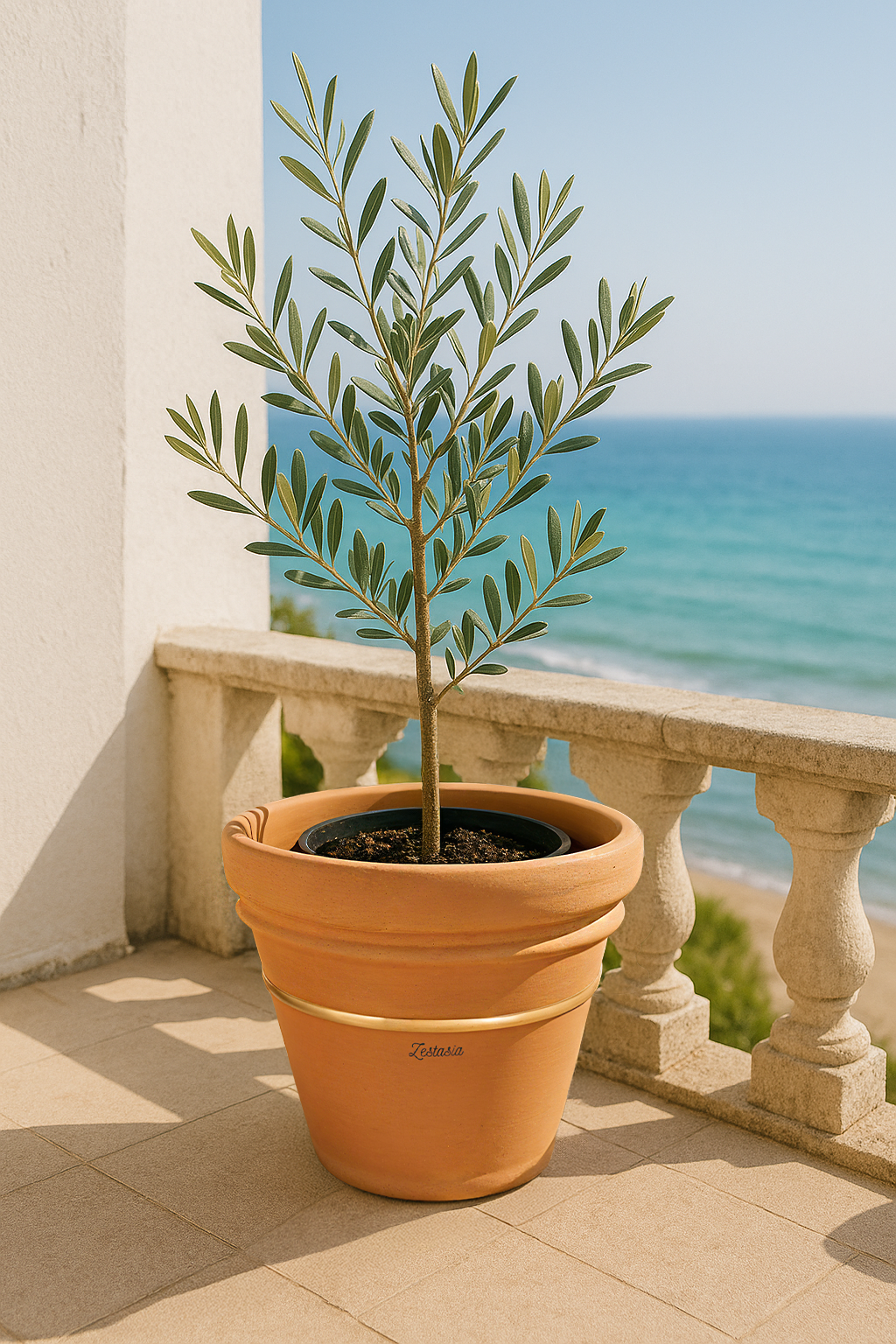 l'origine - founders first collection